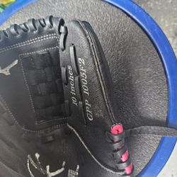 Softball Glove Lefty