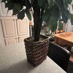 Beautiful Fake Plant