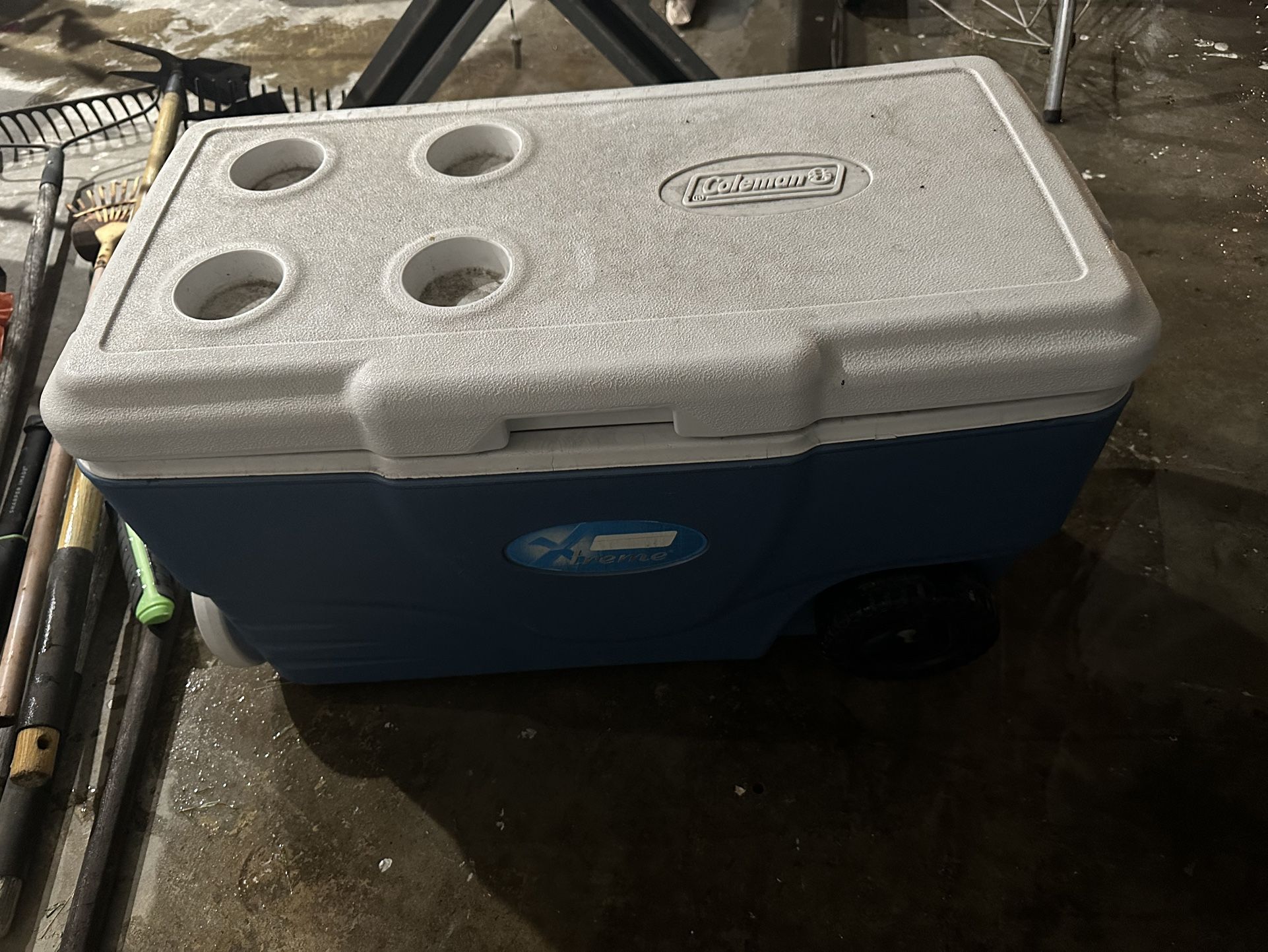 Coleman Cooler