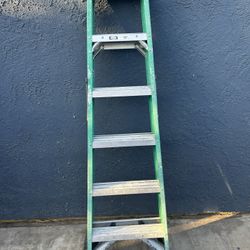 Werner 6 Foot Step Ladder