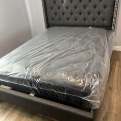 New Bed Twin Full Queen King Size Options Ready and mattress 
