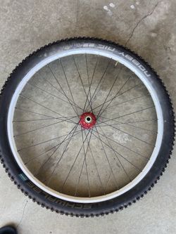 29er Front Rim With Chris King Hub