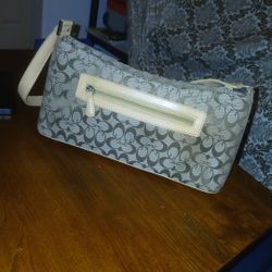 Guess Purse
