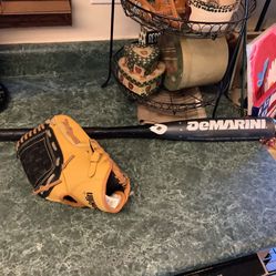 Baseball package including New Franklin 10” baseball glove,  DeMarini Rogue baseball bat 28” 17 ounces  Baseball All one price Plainfield, Illinois