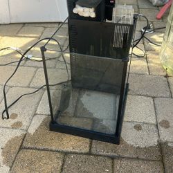 Fish Tank 