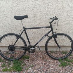 Vintage Raleigh M50 Mountain Bike Like New