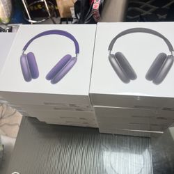Apple AirPod Pro Max 1 Of 1 Want $350