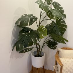West Elm Faux Plant 