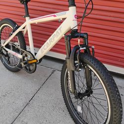 20-in Wheel Mountain Bike For Kids Fully Assembled