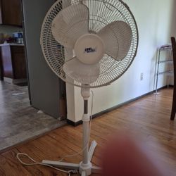 1 White Fans 