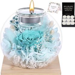 Brand new Preserved Roses in Glass Dome with Scented - Romantic Preserved Flower for Women (Cyan)