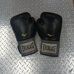 Everlast Boxing Gloves 16 Oz