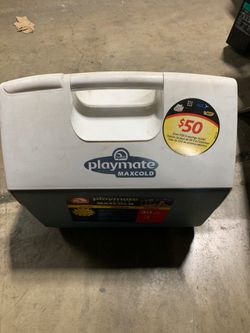 Igloo Playmate 16qt
