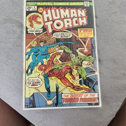 The Human Torch #6 