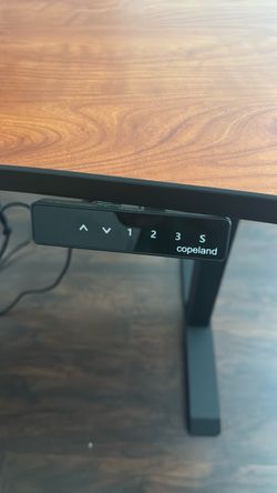 Copeland Electric Standing Desk
