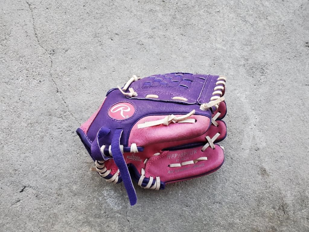 Softball Glove