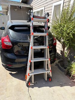 Ladders Little Giant