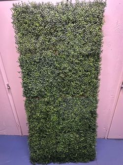 Backdrop walls
