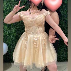 Beige/Gold Short Dress With Tulle And Sequence