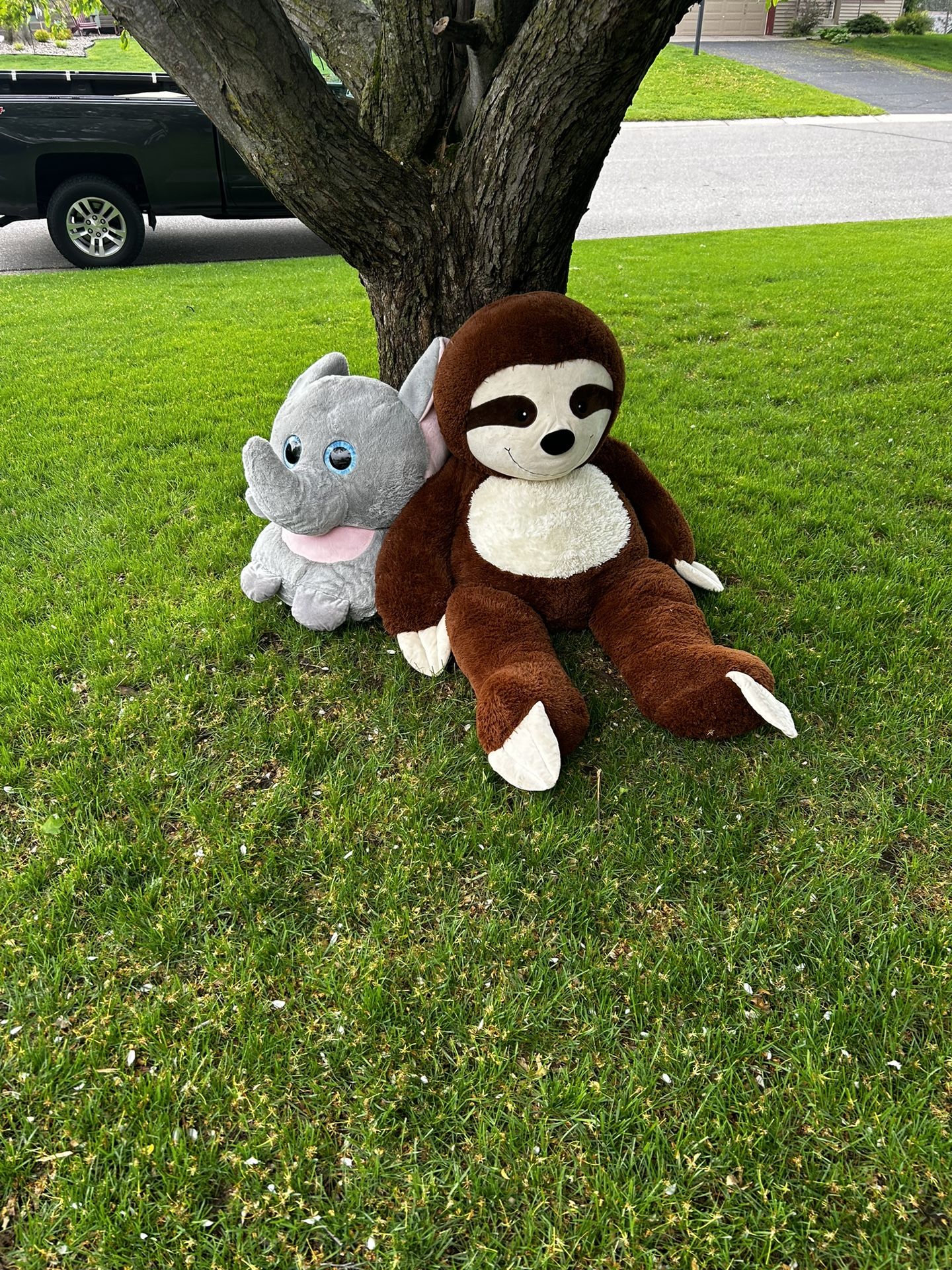 Big Stuffed animals