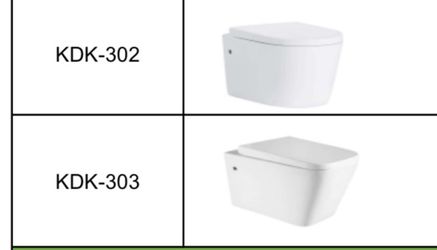 Wall mount Toilet 