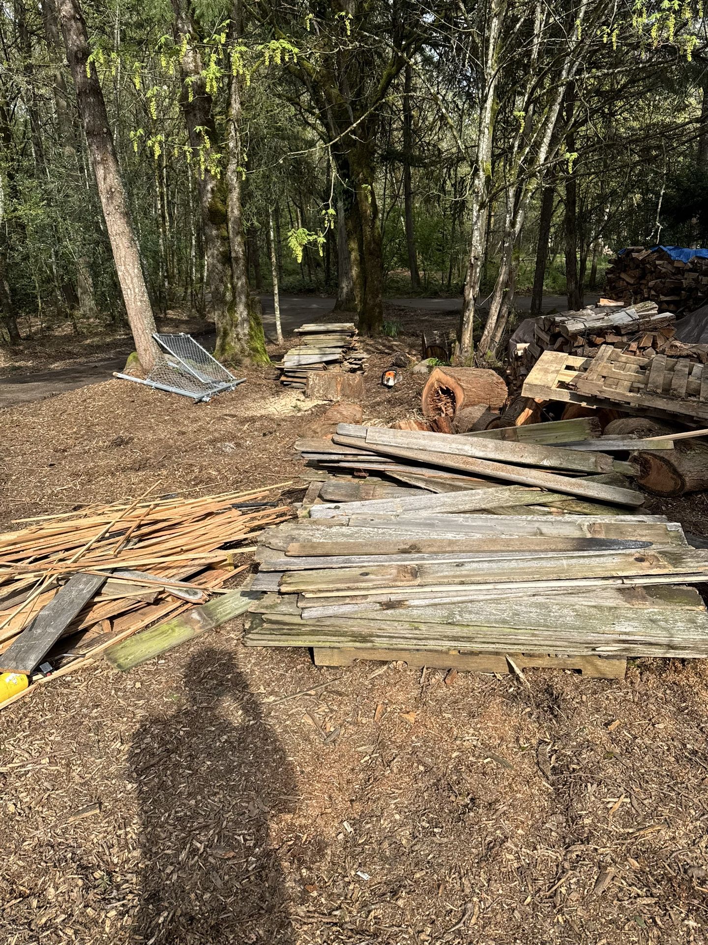 Free Wood / Fence Pickets