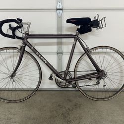 Custom Klein Bike