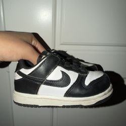 Toddler Nike Dunks