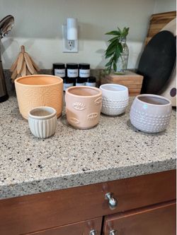 Set of 5 tan neutral ceramic planter pot succulent garden plant vase