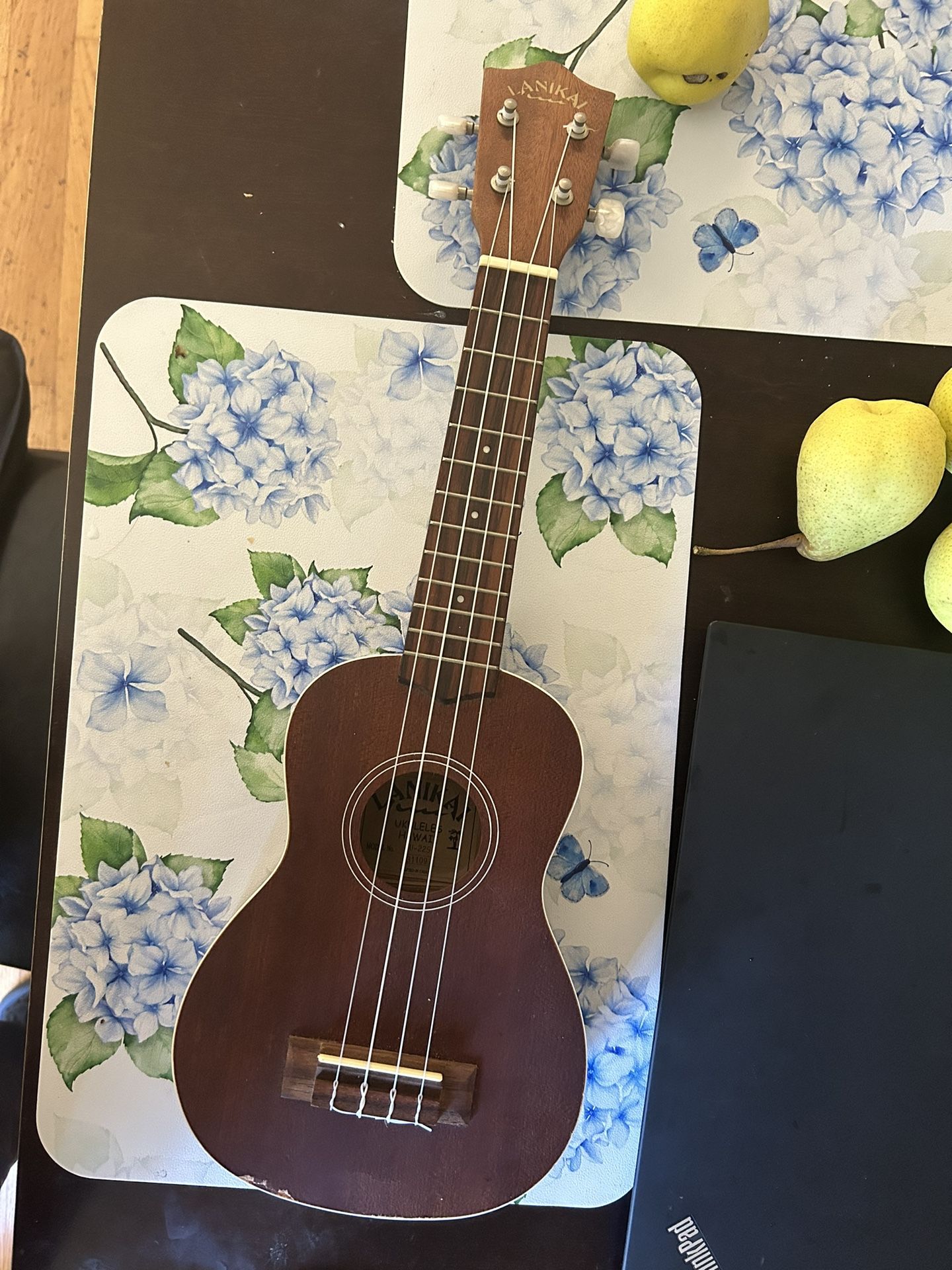 Ukulele with case and Book