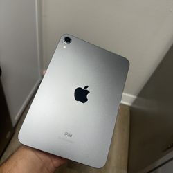 iPad Mini 6