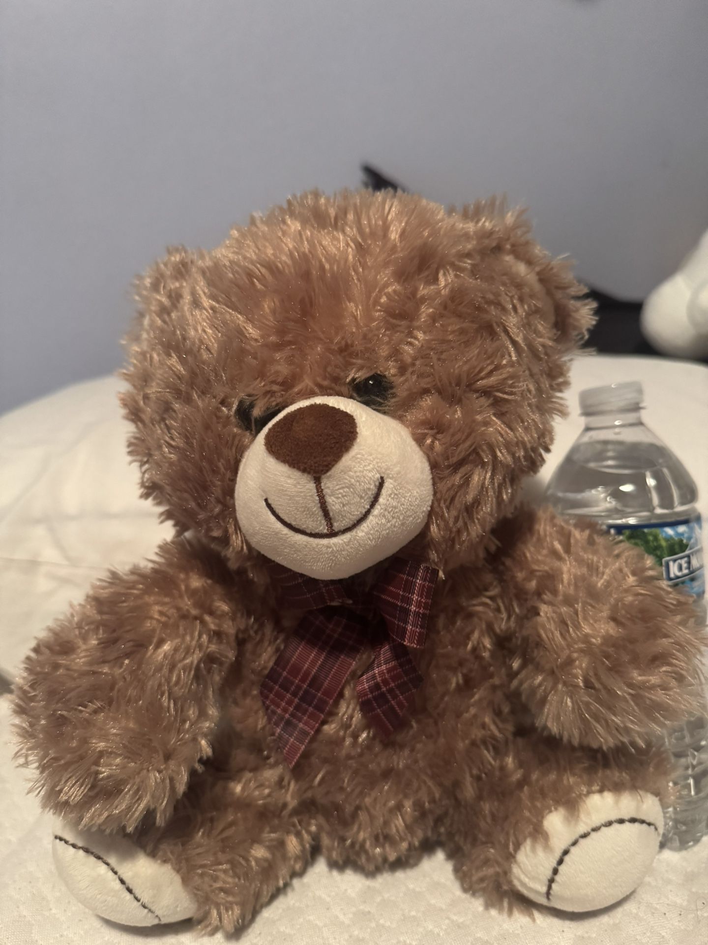Teddy Bear