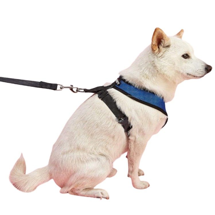 Lightweight Dog Harness –Blue, Red, Black, Mesh, Adjustable Fit with Metal D-Ring, Sizes (S-XL)