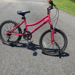 20” Bike