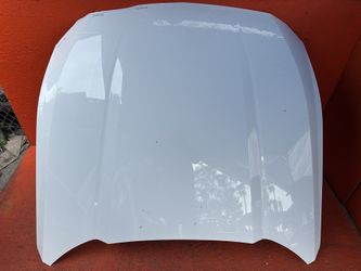 2024 2025 Ford Mustang Hood Bonnet Panel Shell OEM 