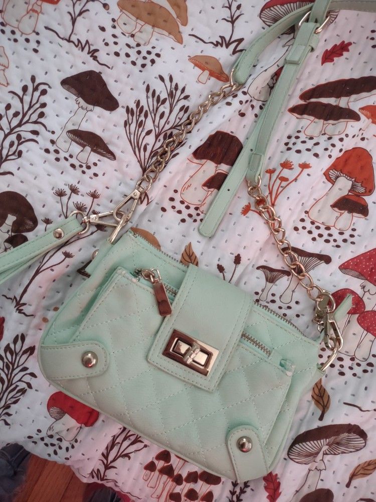 Charming Charlie Crossbody/Wallet