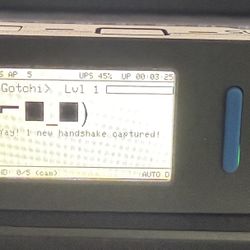 Pwnagotchi 