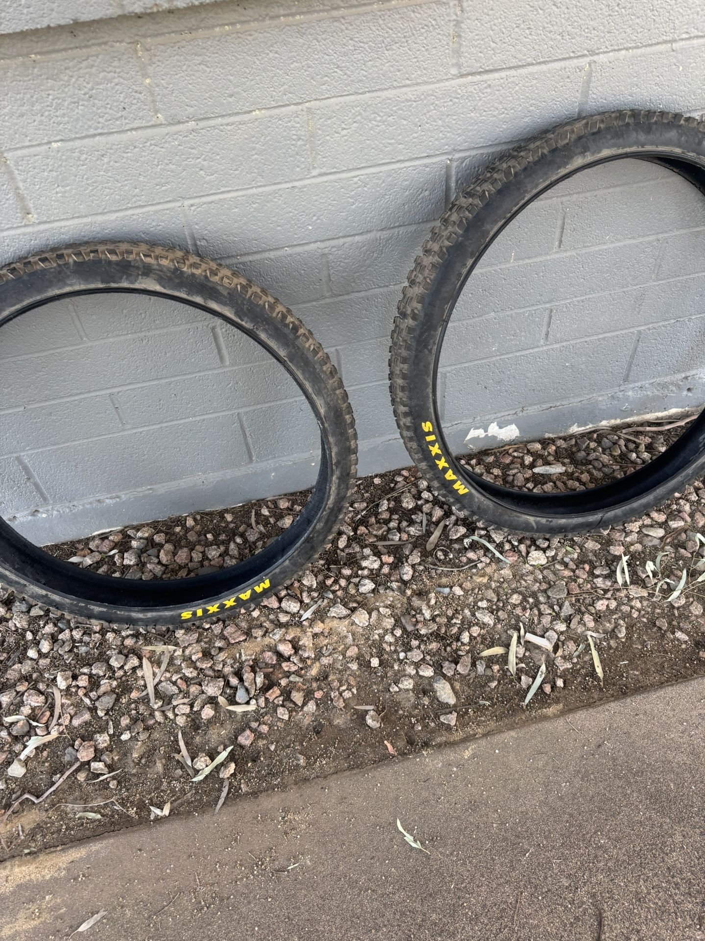 Maxxis Assegai Tires