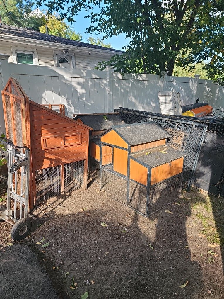 3 CHICKEN CUB AND 3 METAL FANCES 8X8