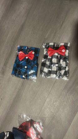 dog clothes