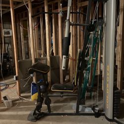 Golds  Home Gym 