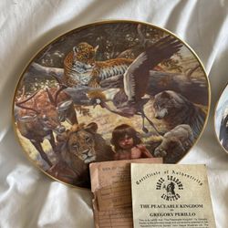 Indian collector Plates