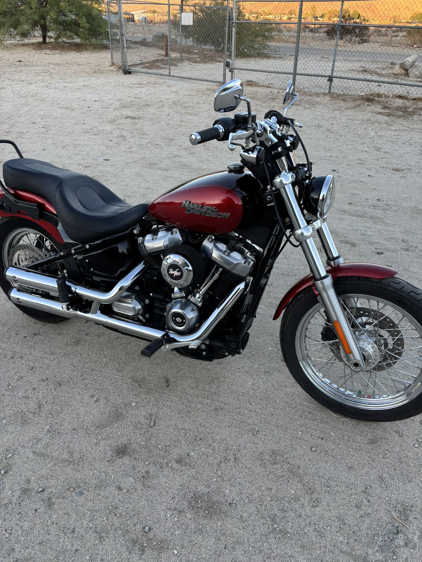 2020 Harley Davison Street bob