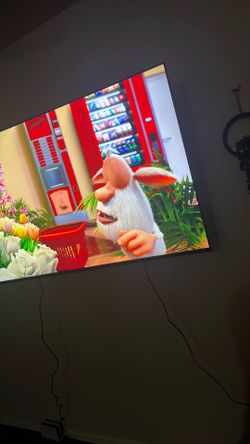 65in tv