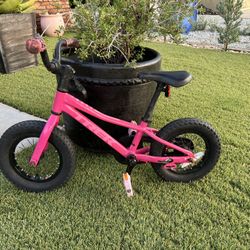 Girls Trek Bike 