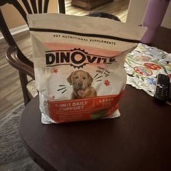 Dino Vite 
