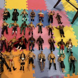 Wwe Figures Lot