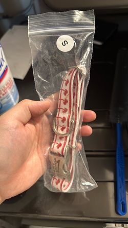 Small in n out dog collar and dog leash