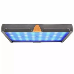 Neptune Sky LED w/ Bracket 