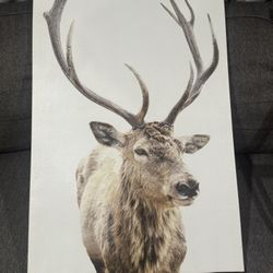 Reindeer Wall Portrait 